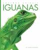 Book cover for "Iguanas".