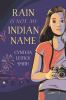 Book cover for "Rain is not my Indian name"
