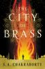 Book cover for "The city of brass"