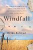Book cover for "Windfall"