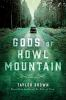 Book cover for "Gods of Howl Mountain"