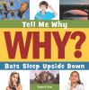 Book cover for "Bats sleep upside down".