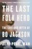 Book cover for "The last folk hero"