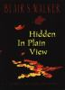 Book cover for "Hidden in plain view".