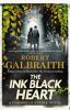 Book cover for "The ink black heart".