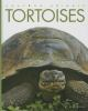 Book cover for "Tortoises".