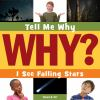Book cover for "I see falling stars".