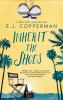 Book cover for "Inherit the shoes".
