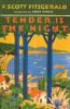 Book cover for "Tender is the night"