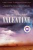 Book cover for "Valentine"