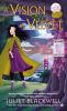Book cover for "A vision in velvet".