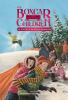 Book cover for "The mystery of the stolen snowboard".