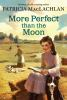 Book cover for "More Perfect Than the Moon".