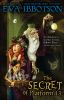 Book cover for "The secret of platform 13"