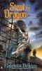 Book cover for "Steal the dragon".