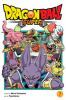Book cover for "Dragon Ball super".