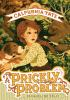 Book cover for "A prickly problem".