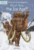 Book cover for "What was the Ice Age?".