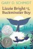 Book cover for "Lizzie Bright and the Buckminster boy"
