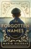 Book cover for "The forgotten names"