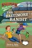 Book cover for "The Baltimore bandit".