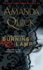 Book cover for "Burning lamp".