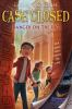 Book cover for "Danger on the dig".