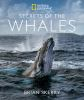 Book cover for "Secrets of the whales"
