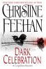 Book cover for "Dark celebration".