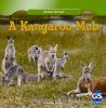 Book cover for "A kangaroo mob".