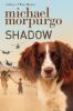 Book cover for "Shadow"