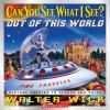 Book cover for "Can you see what I see?"