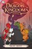 Book cover for "Dragon kingdom of Wrenly".