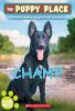 Book cover for "Champ".