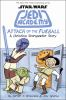 Book cover for "Jedi Academy".