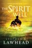 Book cover for "The spirit well".