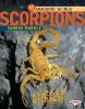 Book cover for "Scorpions".