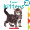 Book cover for "I love kittens".
