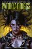 Book cover for "Storm cursed".