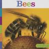 Book cover for "Bees".
