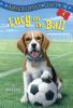 Book cover for "Lucy on the ball".