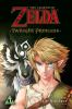 Book cover for "The legend of Zelda".
