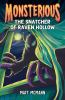 Book cover for "The snatcher of Raven Hollow".