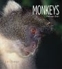 Book cover for "Monkeys".