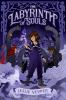 Book cover for "The labyrinth of souls"