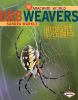 Book cover for "Orb weavers".