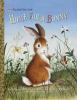 Book cover for "Home for a bunny"