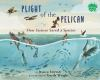 Book cover for "Plight of the pelican".