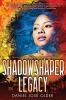Book cover for "Shadowshaper legacy".