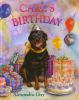 Book cover for "Carl's birthday".